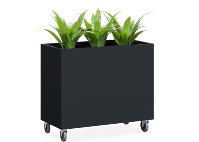 Garden Box